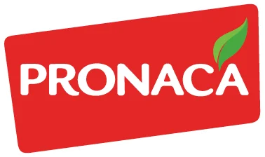 Pronaca