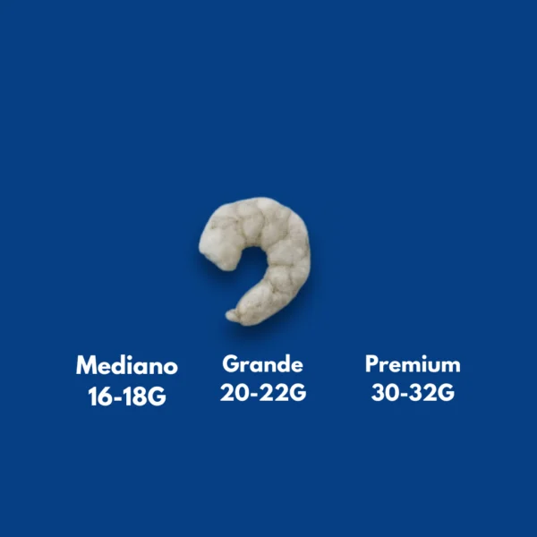 Camarón Grande - Imagen 2